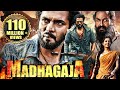 MADHAGAJA (2022) New Released Full Hindi Dubbed South Movie | Srii Murali, Jagapathi Babu, Ashika R