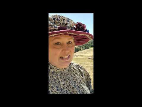 Walter E  Clare 1875-1883