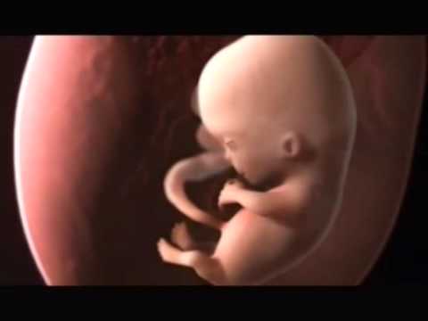 Mirco Menna - Dottor clone