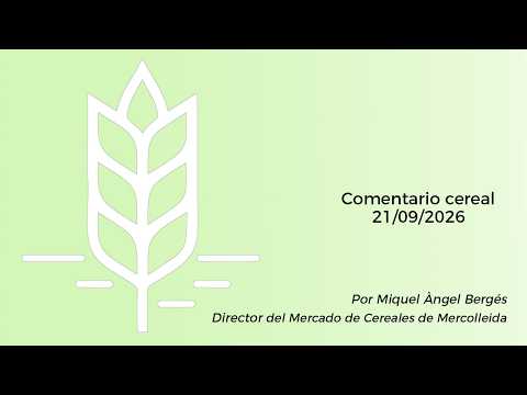 Comentario cereal - 21/09/2026