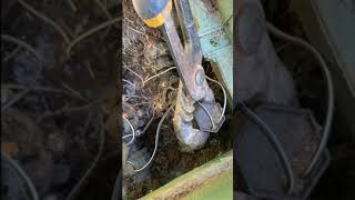 Simple Sprinkler Valve Troubleshooting