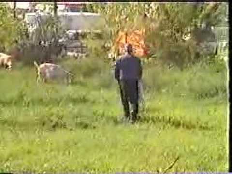 O ARMADO KAI TO ARNI