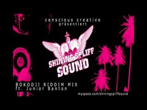 Shining Spliff Sound - BokodjiMegaMix ft. Junior Banton