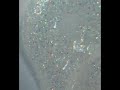 Kira Nails Acryl Gel - Opal, 30 g