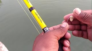Fish hunting | Caught the fish from over the bridge