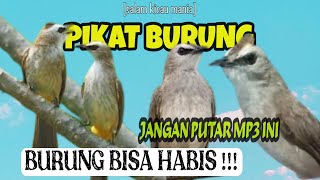 Download lagu Suara Pikat Burung Trucukan Ampuh Terbaru 2023 || Suara Pikat Paling Dicari (bagian 1) mp3 Download lagu Suara Pikat Burung Trucukan Ampuh Terbaru 2023 || Suara Pikat Paling Dicari (bagian 1) mp3