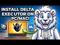 Best Working Delta Executor For PC How To Download And Install Roblox Delta Executor On Laptop PC