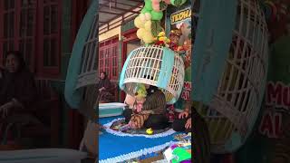 Download lagu SW STATUS WHATSAPP STORY WA SHORT VIDEO 40 mp3