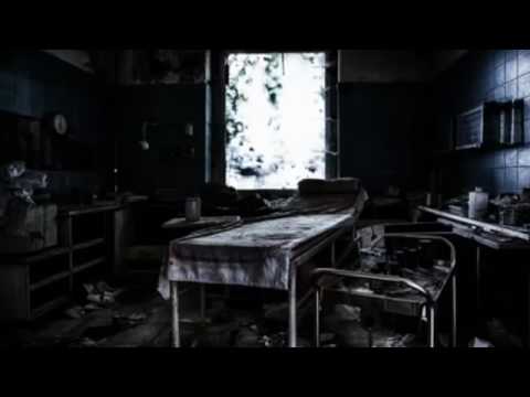 Der Feeder Teil 2   Horror