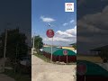 Одним из основных видов деятельности в Холмовке, является выращивание клубники