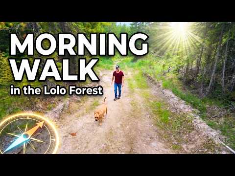 Lolo National Forest Walk Cover