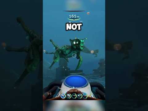 The Silence Leviathan is Horrifying