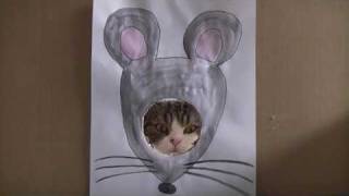 Add the Caturday Widget to your site!
