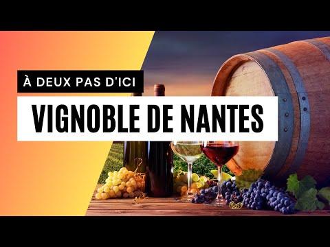 À Deux Pas d'Ici - LE VIGNOBLE DE NANTES