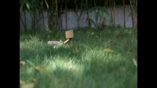 Download lagu 'Danbo' - Short Film mp3 Download lagu 'Danbo' - Short Film mp3