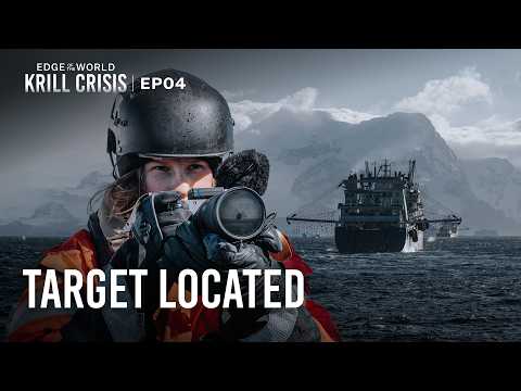 Sea Shepherd and Sea Shepherd