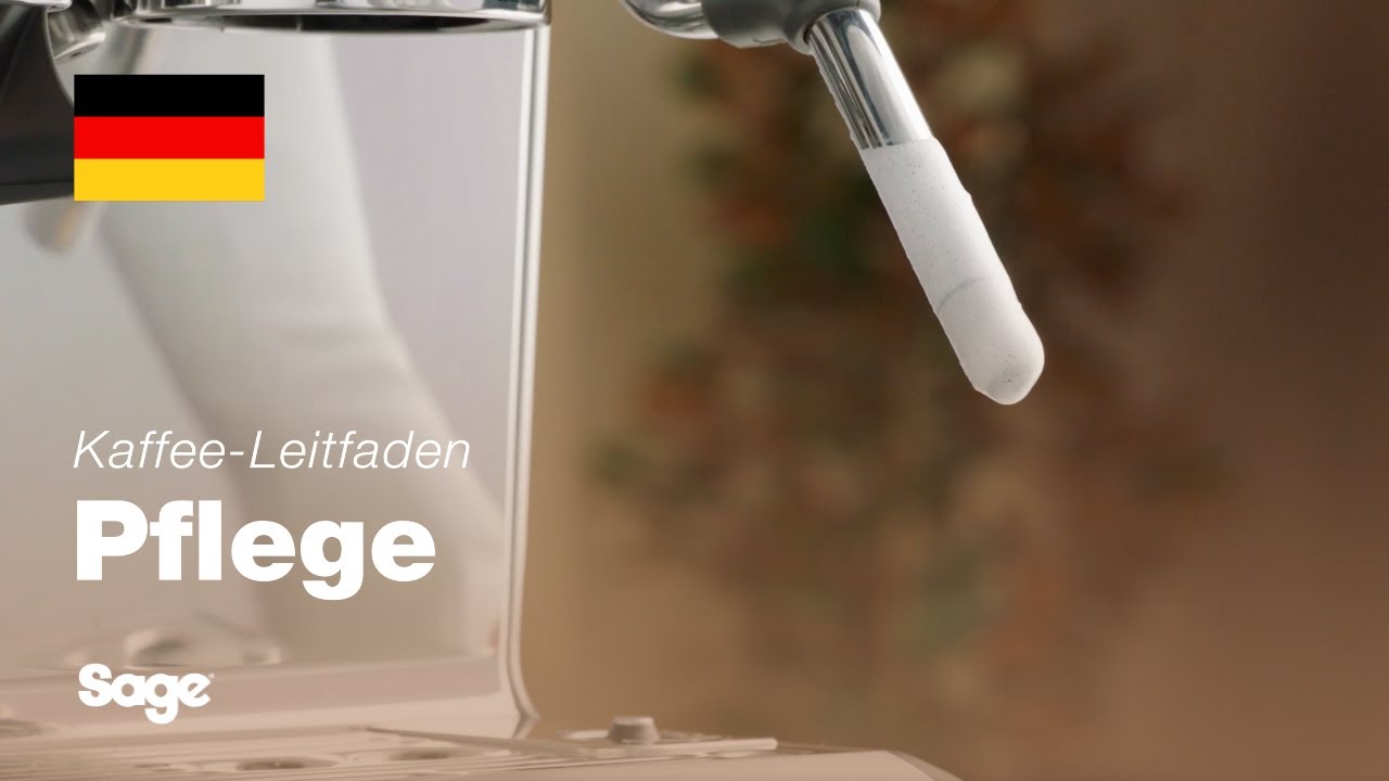 Reinigen und Durchspülen des Dampfstabs