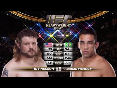 Roy Nelson vs Fabricio Werdum
