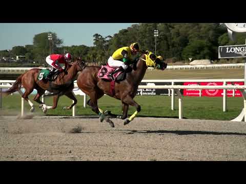 220109 c06 LA GRIEGA