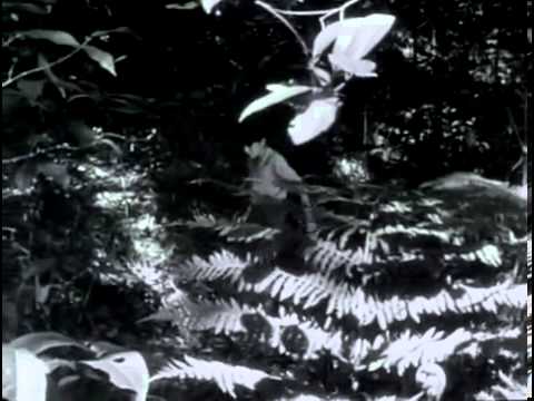 O Saci 1951 COMPLETO