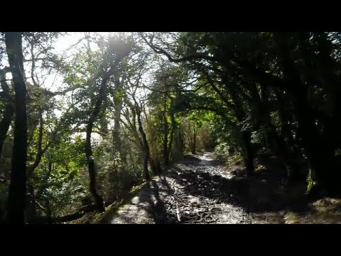 The North Downs Way   Part 4, Merstham to Oxted