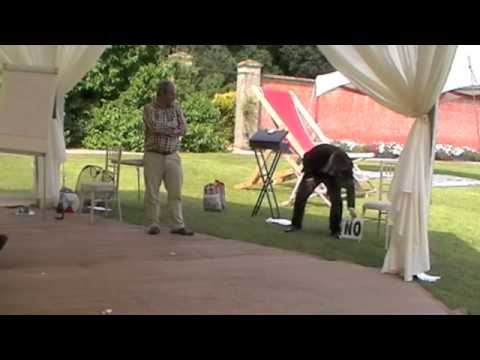 Stephen B Wiley magician