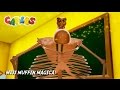 CARLOS Vs MISS MUFFIN MÁGICA Episódio 35