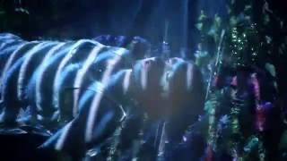 Mr Little Jeans - Oh Sailor (Official Music Video)