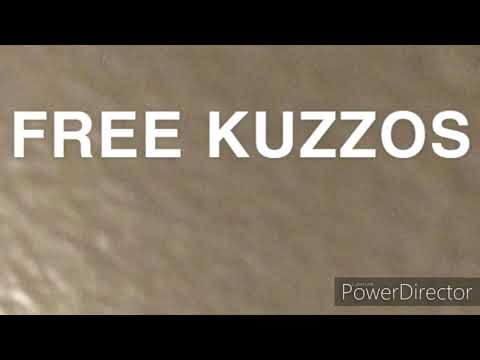 JAYHONCHO× WHAT I BEEN THRU#NEW SINGLE#NEW ALBUM#DIE4