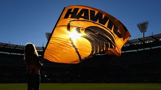 ‘We need to hold our horses here' on Hawthorn racism claims: Elsworth