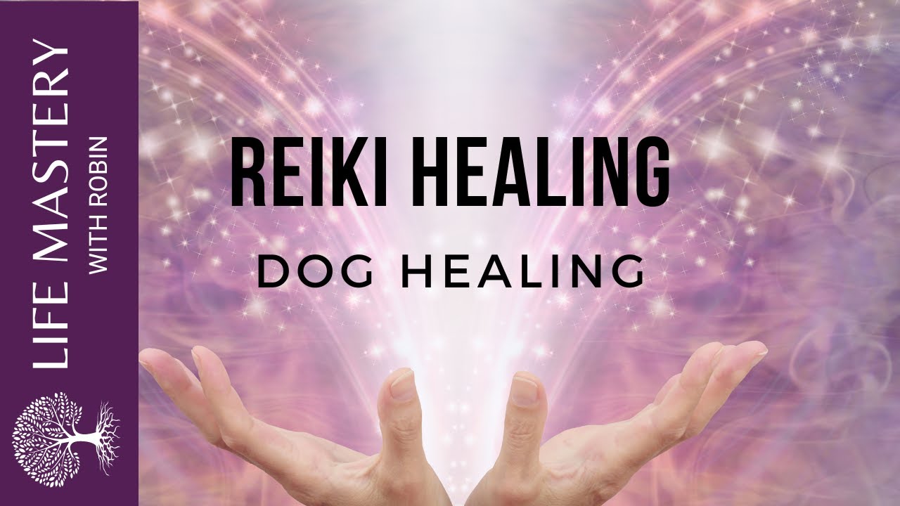 Reiki Healing | Healing Dogs with Sound Music