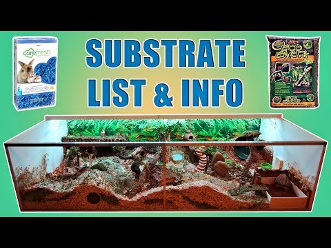 Substrates I Use In My Hamster's Habitat 🐹