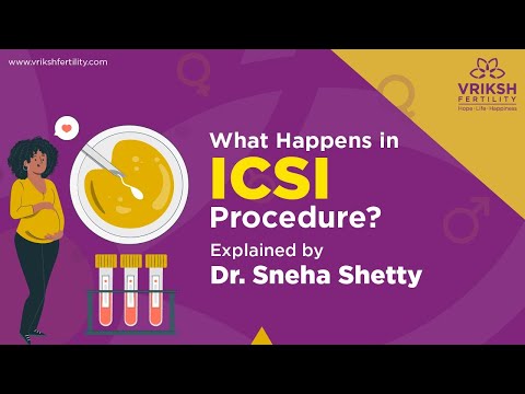 Understanding ICSI Treatment