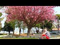 Bartosz Kluba - Lubię wracać tam gdzie byłem - COVER - 432 HZ - 19.04.2019 Bartosz Kluba - Lubię wracać tam gdzie byłem - COVER - 432 HZ - 19.04.2019