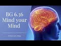 BG 6.36 Mind your Mind | Amarendra Dāsa