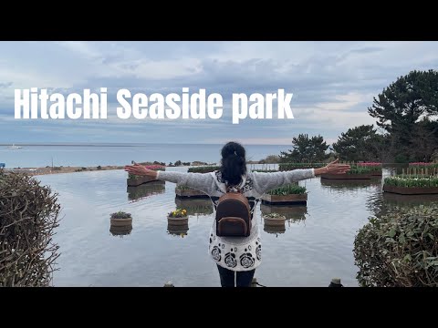 Exploring Hitachi Seaside Park in Winter | Tulips & Sea View