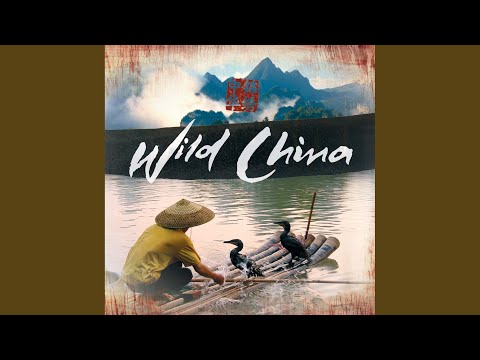 Wild China Theme (feat. The BBC Concert Orchestra and the UK Chinese Ensemble)