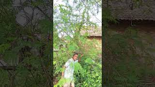 Download lagu Video lucu bikin ngakak hiburan warga 62 #funny #comedyterbaru mp3