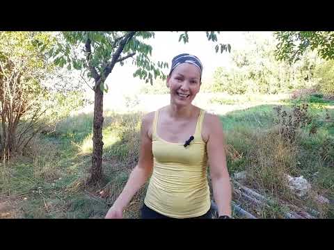 Geolia 20 cm Hand-Held Soil Auger from Leroy Merlin for PLN 80. Earth Drill