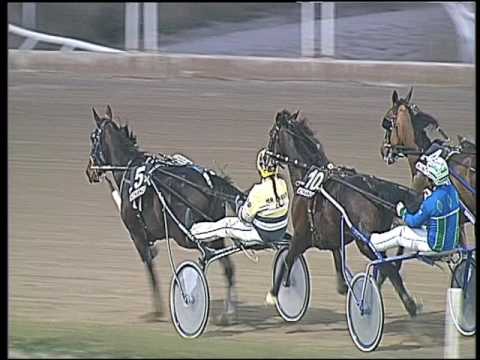 Trotto 03/03/2017 - 7ª corsa