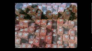 WWII : Canada & The Netherlands 7/7