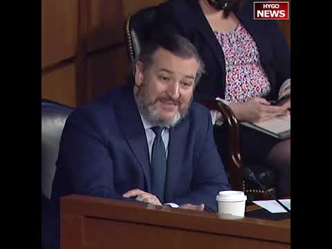 Cruz and Durbin get heated in DOJ confirmation hearing