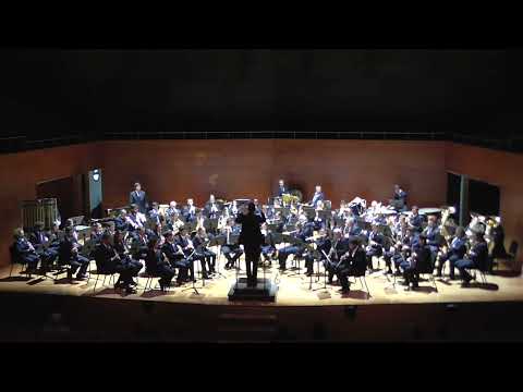 In the shadow of Napoleon. Bert Appermont.