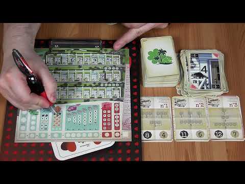 EGYSZEMÉLYES JÁTÉK: KÖSZÖNTÜNK... ÁLMAID VÁROSÁBAN! - d3meeples