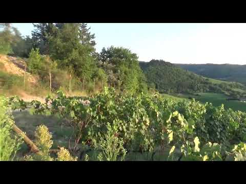 28 Aprile 2023, “CAMMINO”