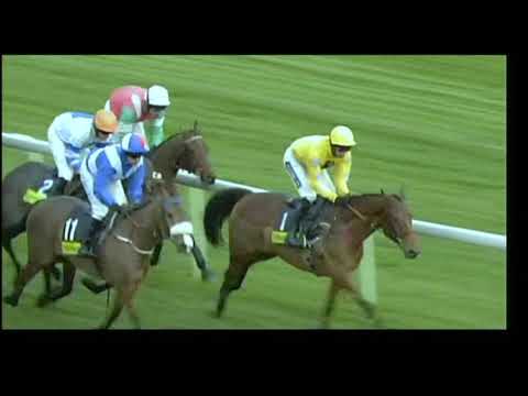 2010 Live Football Betting At totesport.com Handicap Hurdle