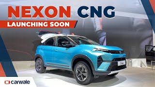 Tata Nexon CNG | Turbo Petrol SUV with Low Running Costs | Bharat Mobility Expo 2024