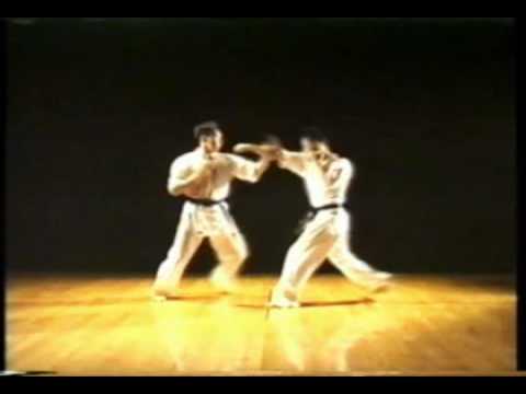 Shoshin kata 1.mpg