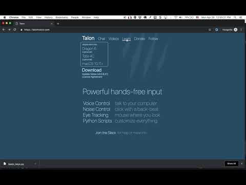 Talon Voice Control: basics