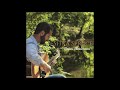 Seven Swans - Sitka Spruce - Al Petteway, Covered by Brian Anderson; Celtic Guitar